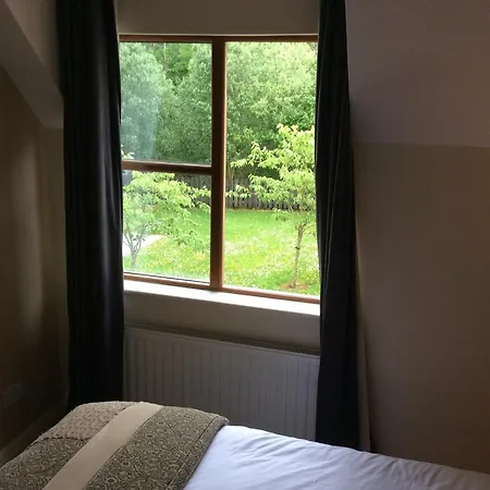 Bed & Breakfast Carolans Court Guesthouse *