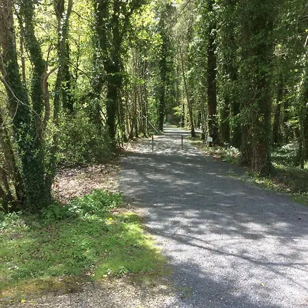 Carolans Court Guesthouse Roscommon